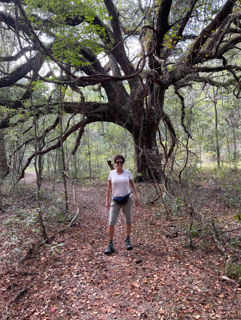    Hiking in Silver Springs Florid